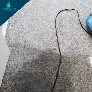 Limpieza de alfombras de muro a muro - producto