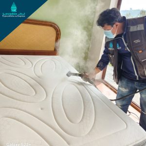 Limpieza de colchon - producto
