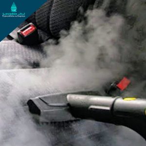 Limpieza de tapiceria de autos - producto