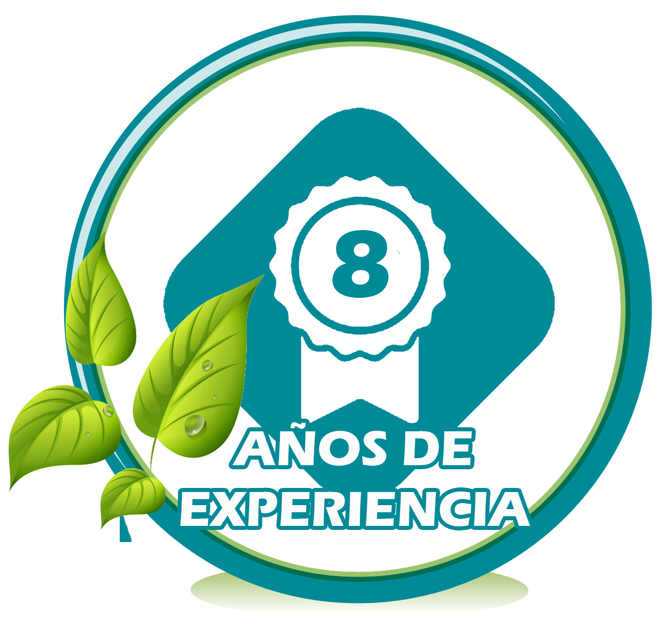 Empresa de limpieza con experiencia